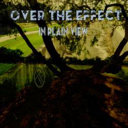 Over The Effect : In Plain View